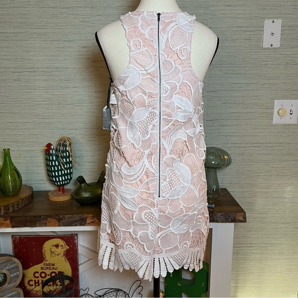 Revolve Lovers + Friends NWT Caspian Lace Dress Size S Cream Pink Racerback - Picture 4 of 9